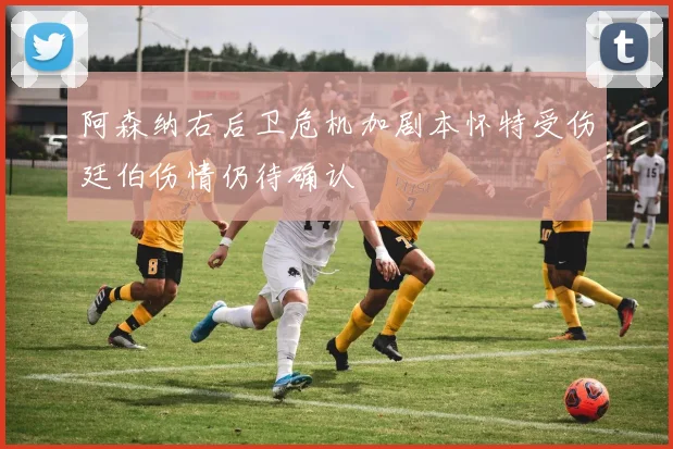 阿森纳右后卫危机加剧本怀特受伤廷伯伤情仍待确认