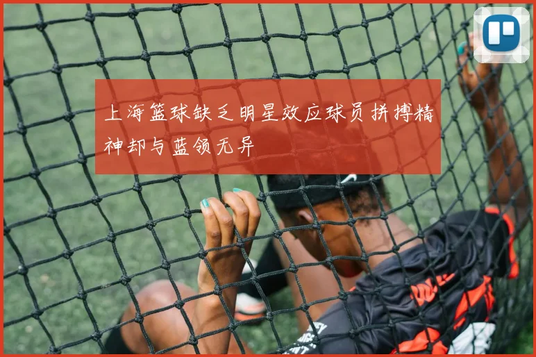 上海篮球缺乏明星效应球员拼搏精神却与蓝领无异